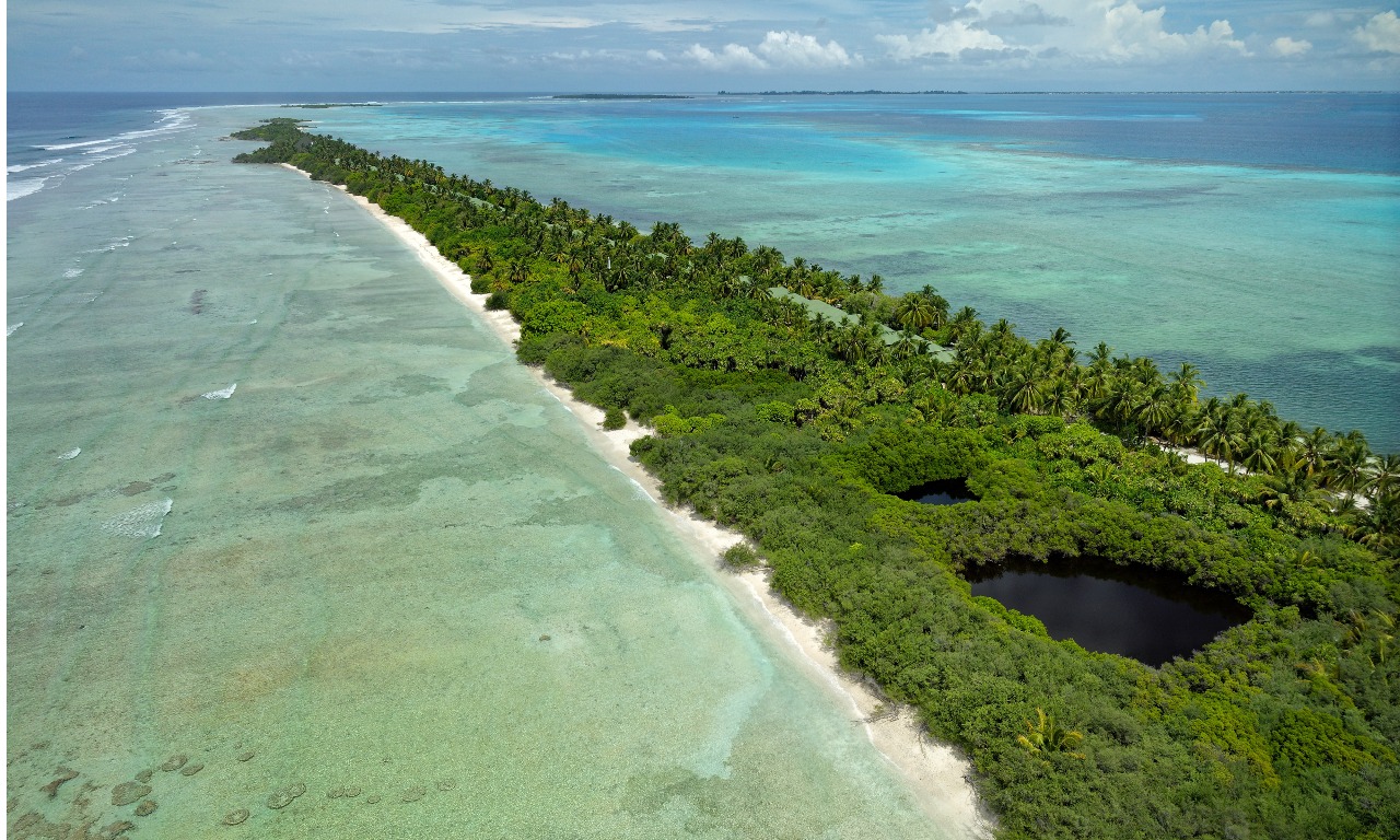 Canareef Resort Maldives 4* - курорт на райском острове в природном парке Атолла Адду

