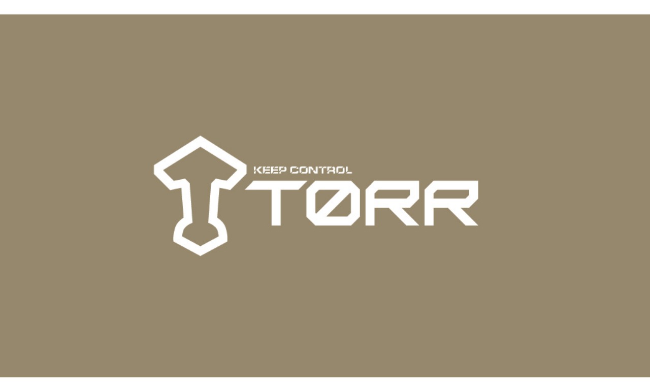 Вебинар бренда TORR для профессионалов рынка