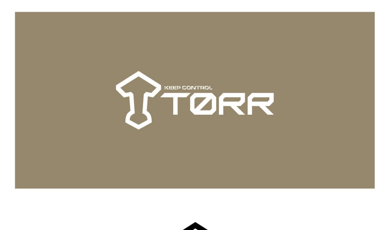 Вебинар бренда TORR для профессионалов рынка