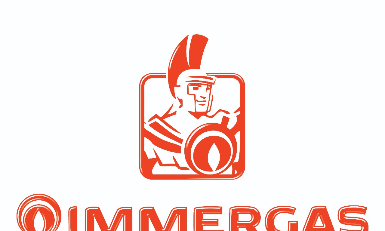 Программа поддержки монтажников. Интернет ресурсы Immergas.