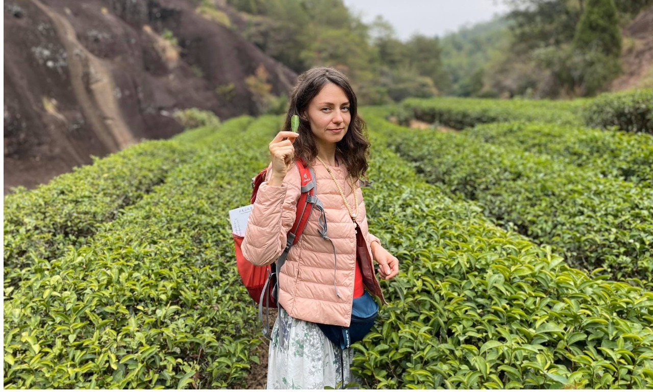 Чайные плантации: приключение на один день или полноценное путешествие