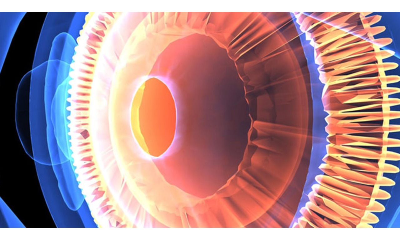 Вебинар для офтальмологов «Изменения глазной поверхности по типу синдрома «сухого глаза».